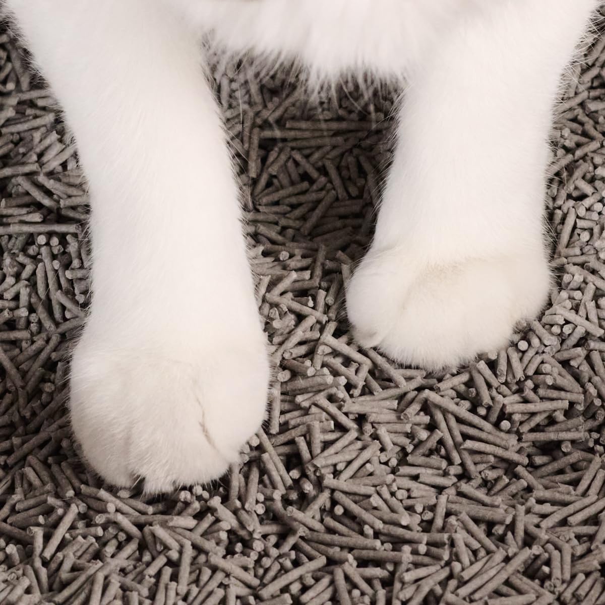 Tuft & Paw Really Great Cat Litter flushable-clump shows toilet-friendly disposal.