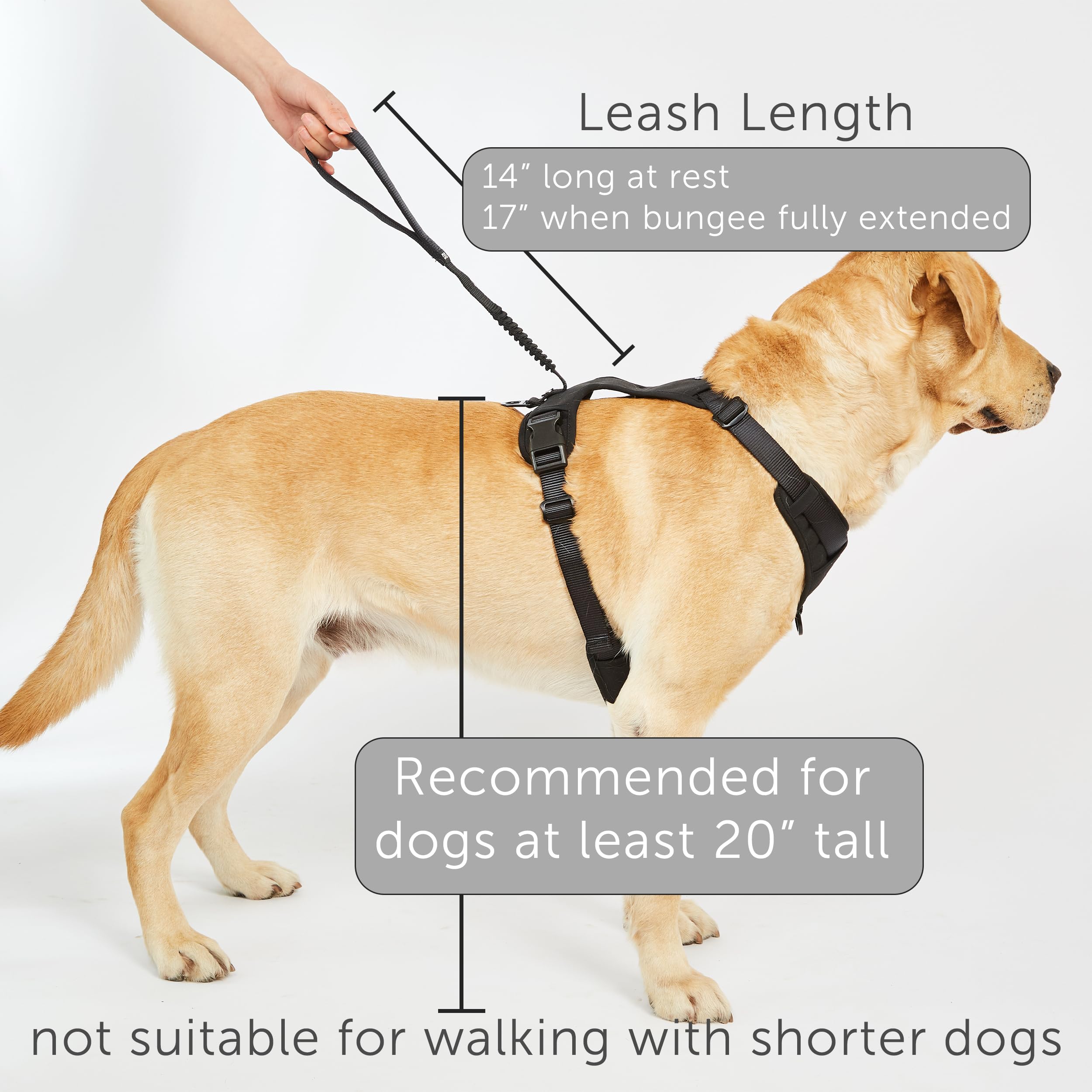 TUG Grab harness large green version with integrated magnetic leash option.