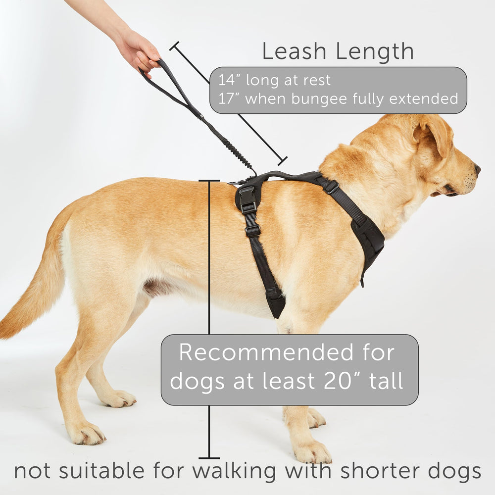 TUG Grab harness large green version with integrated magnetic leash option.