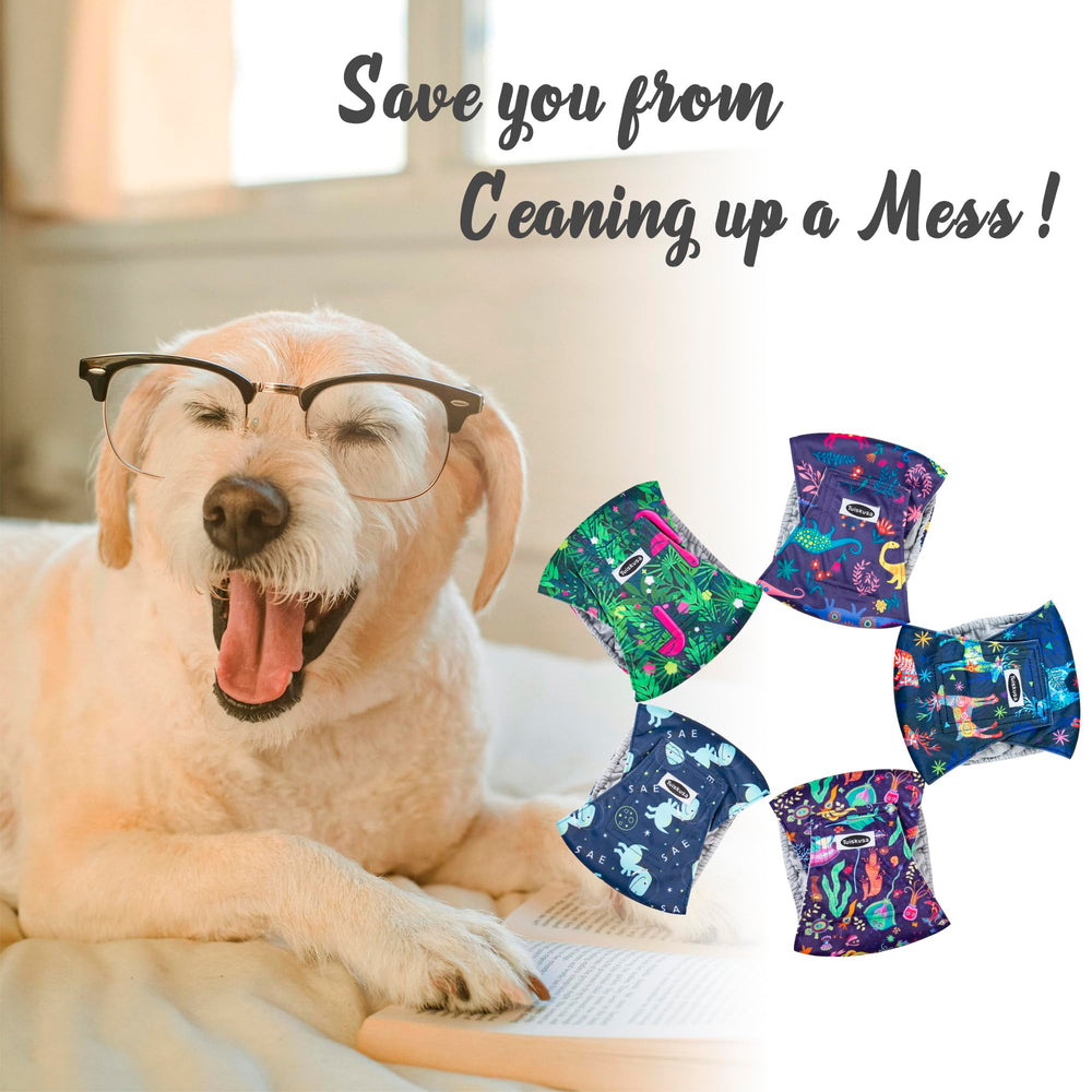 Tuiskusa absorbent belly band in use helps keep surfaces dry during daily routines