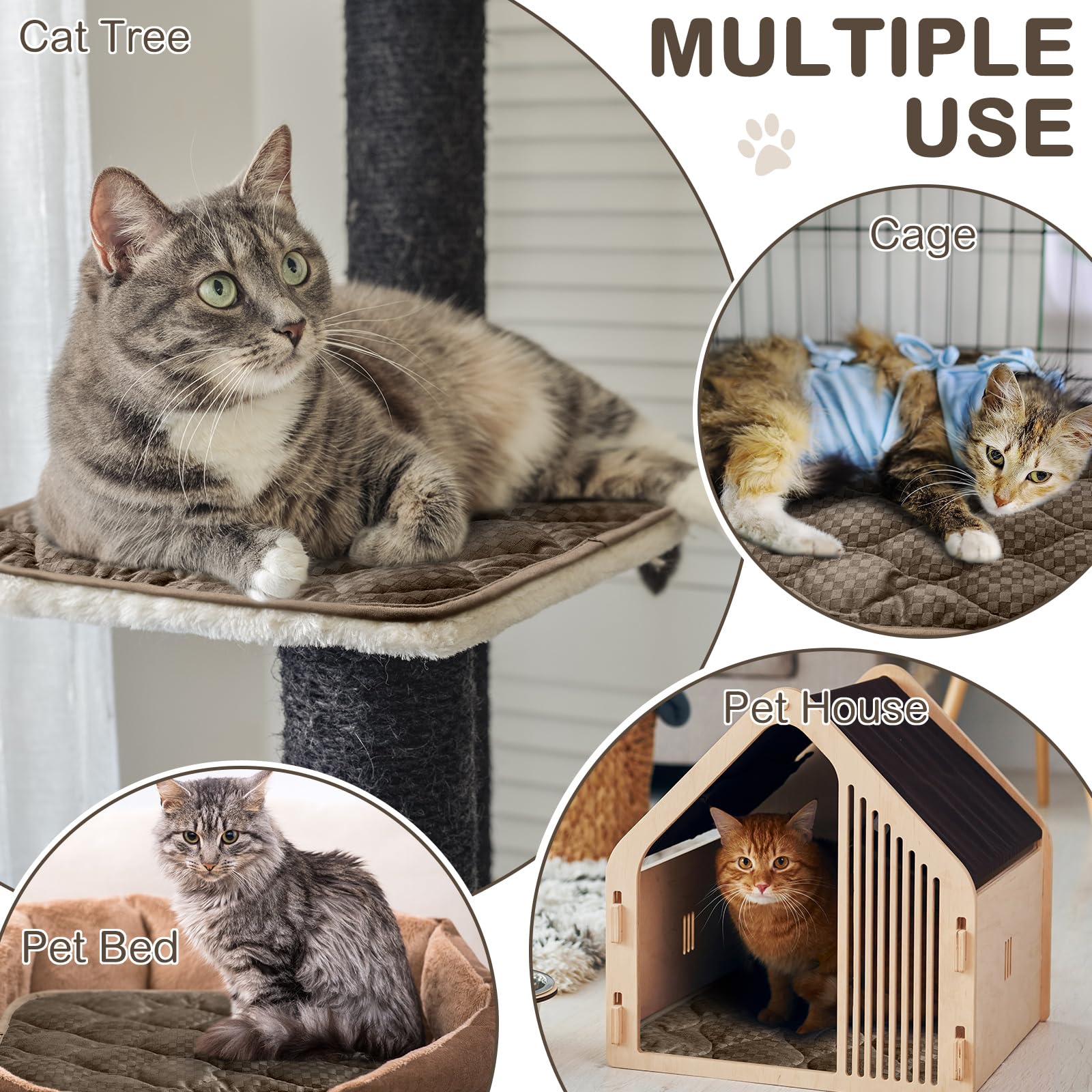 Tujoe cat mat warm surface close-up with reflective thermal layer for extra warmth
