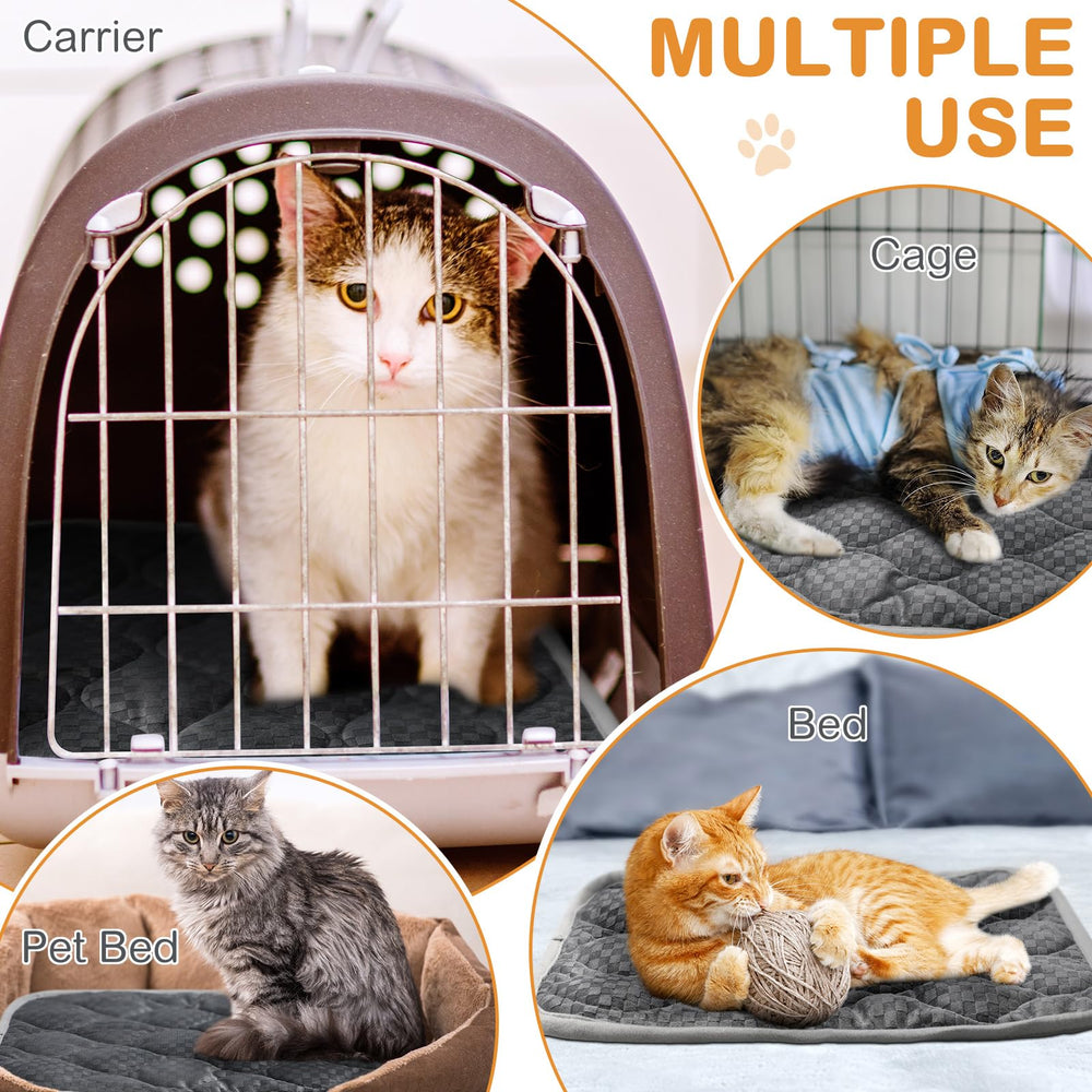 Tujoe four-pack packaging highlights value and multi-pet warmth solution