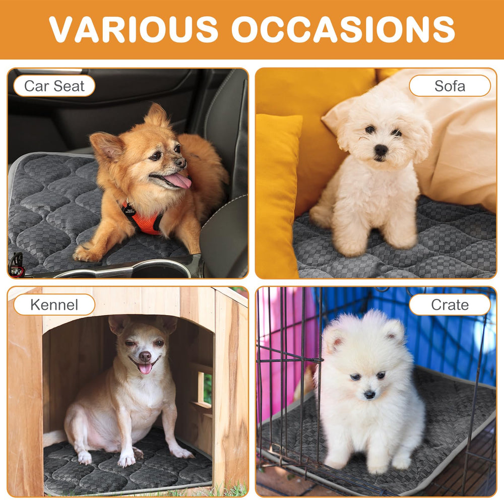 Tujoe self warming cat mat in crate setup ready for travel or indoors