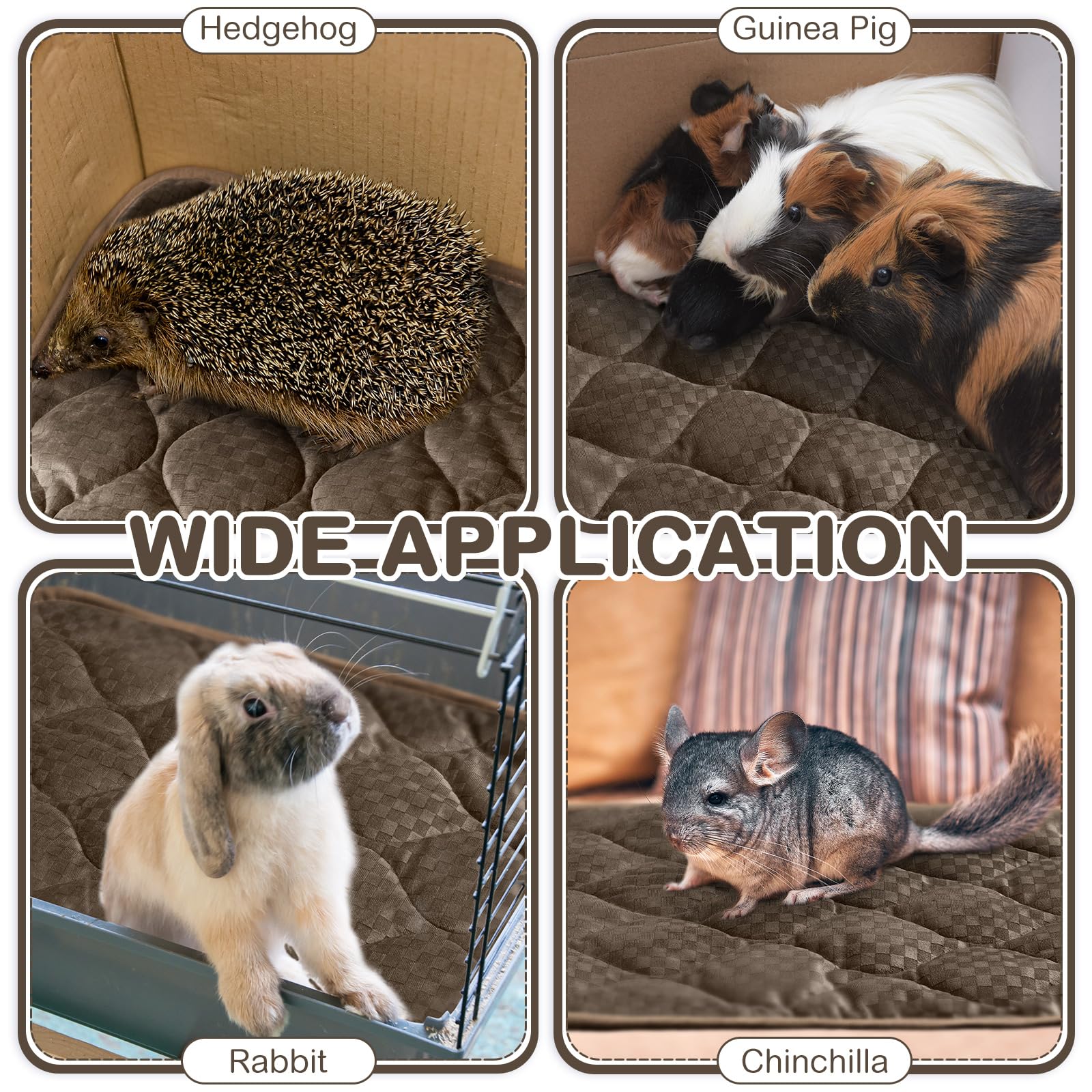 Tujoe self-warming cat mat travel/outdoor setting emphasizes portability for trips