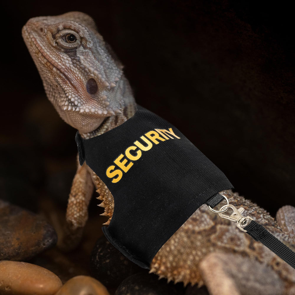 TUKOAW Bearded Dragon Harness chest-strap fit ensures secure walking during outdoor adventures