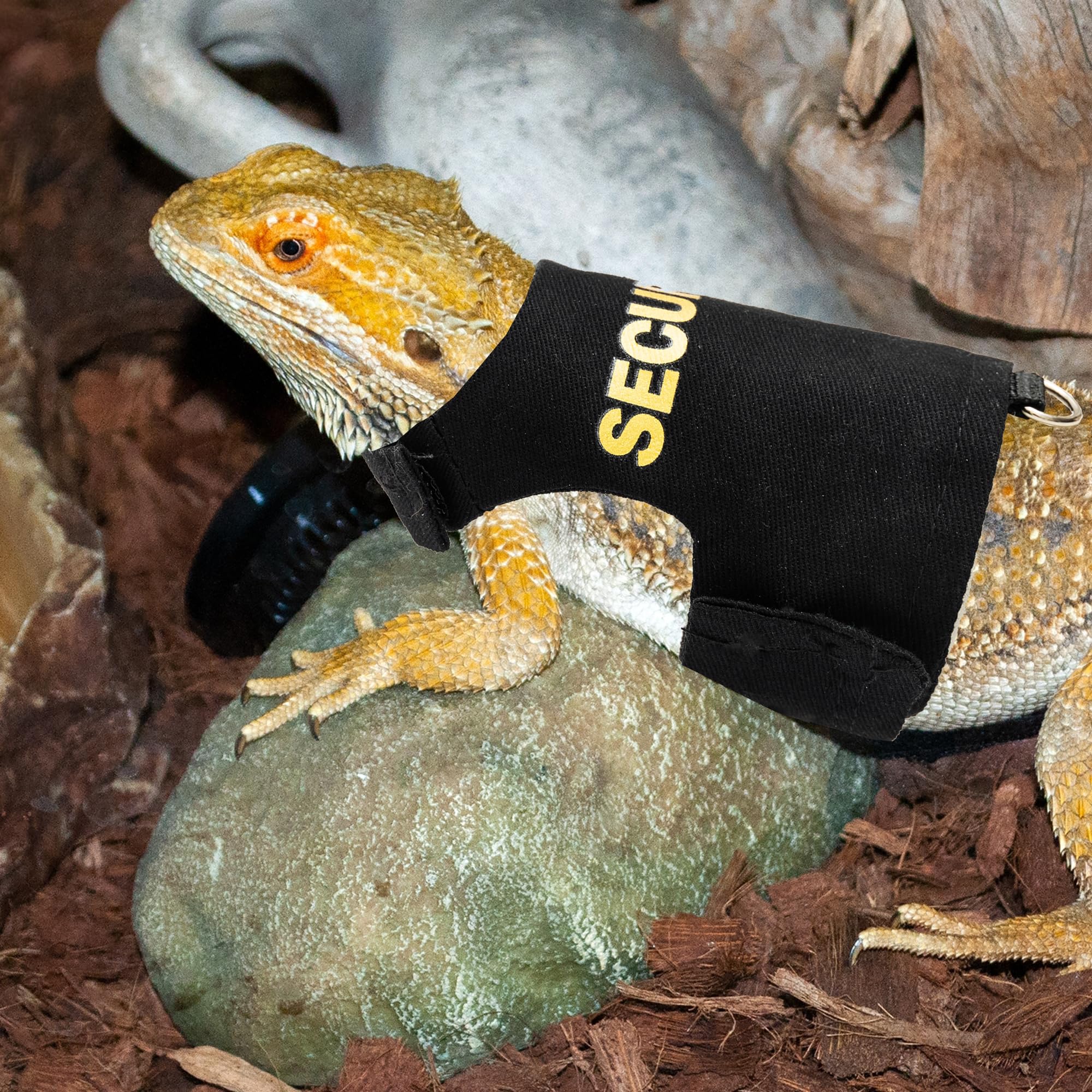 TUKOAW Bearded Dragon Harness knight-inspired design emphasizes protection while you walk