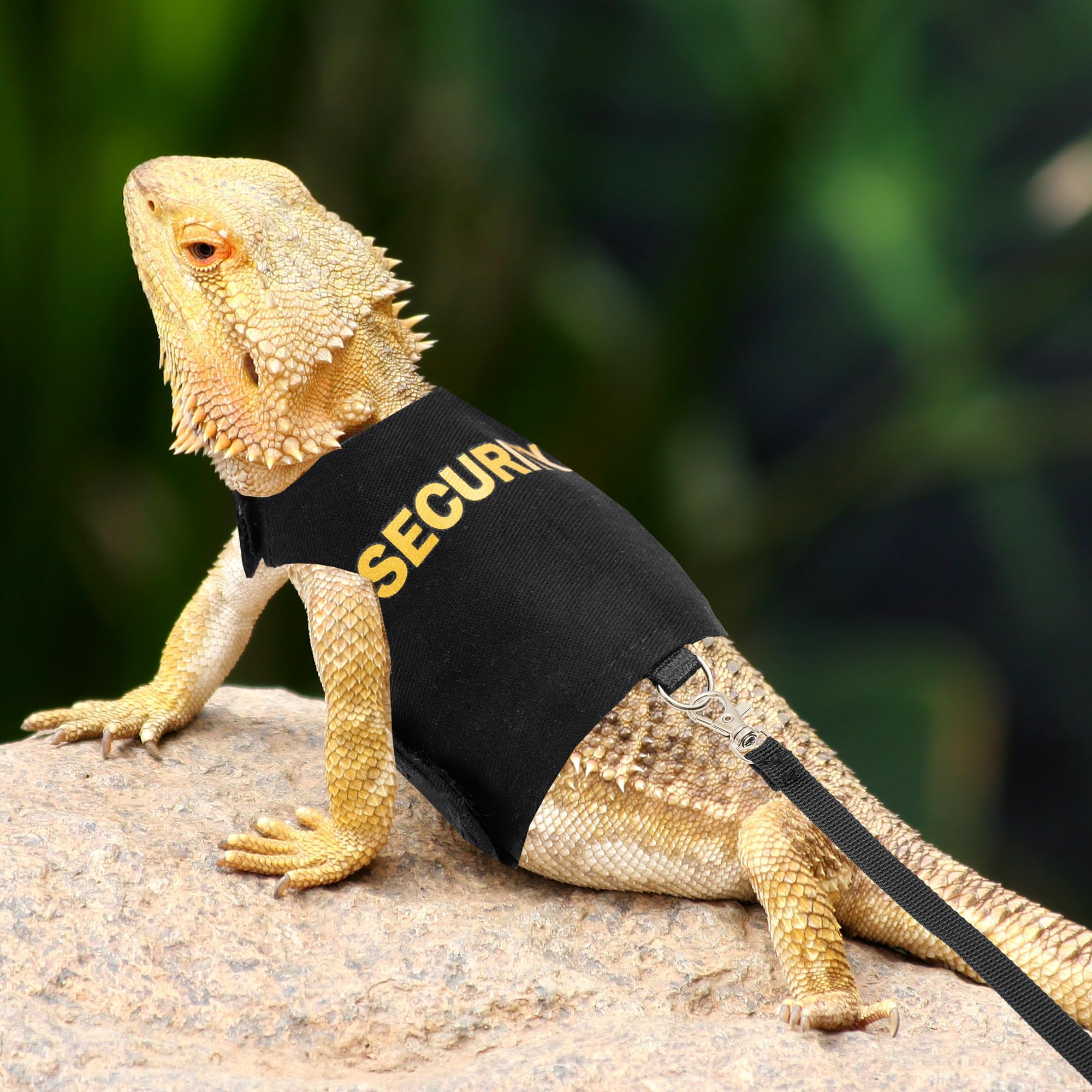 TUKOAW Bearded Dragon Harness back features SECURITY print for a playful safety cue