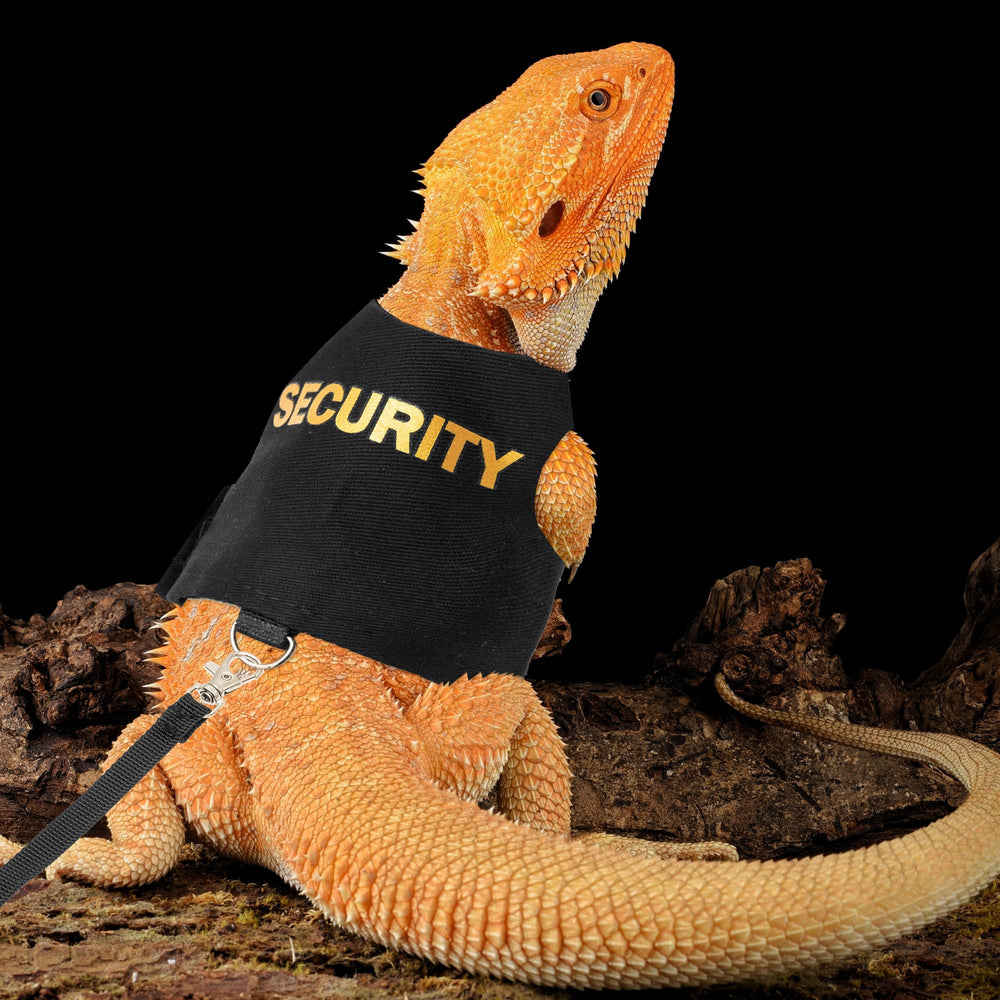 TUKOAW Bearded Dragon Harness with leash during outdoor walk promotes safe exploration
