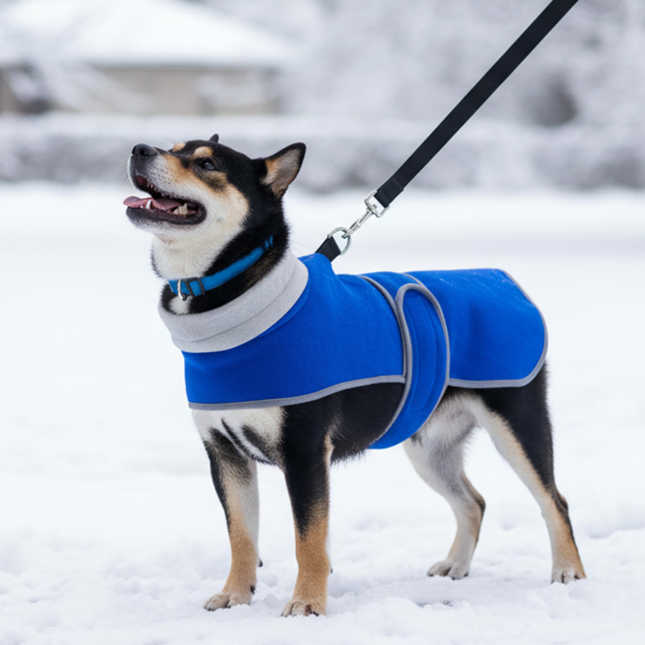 TUKOAW dog coat 2-pack walk-ready image depicts cozy outdoor warmth.