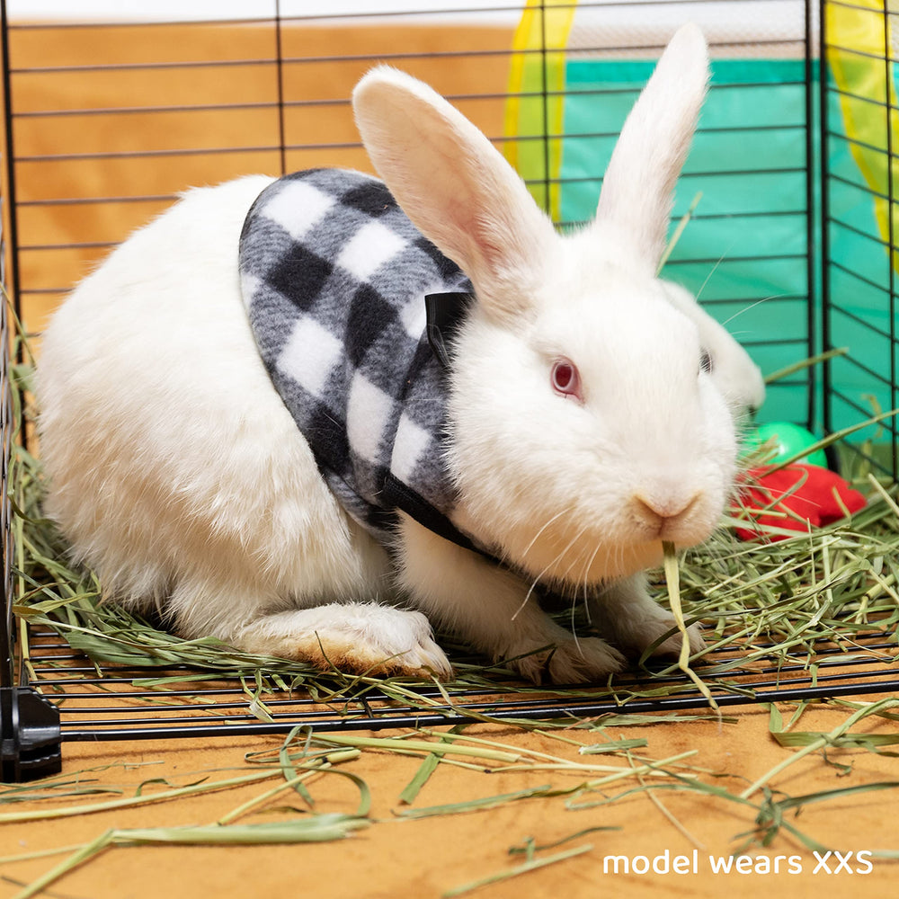 TUKOAW pet costume in a cold weather setup for travel and photos