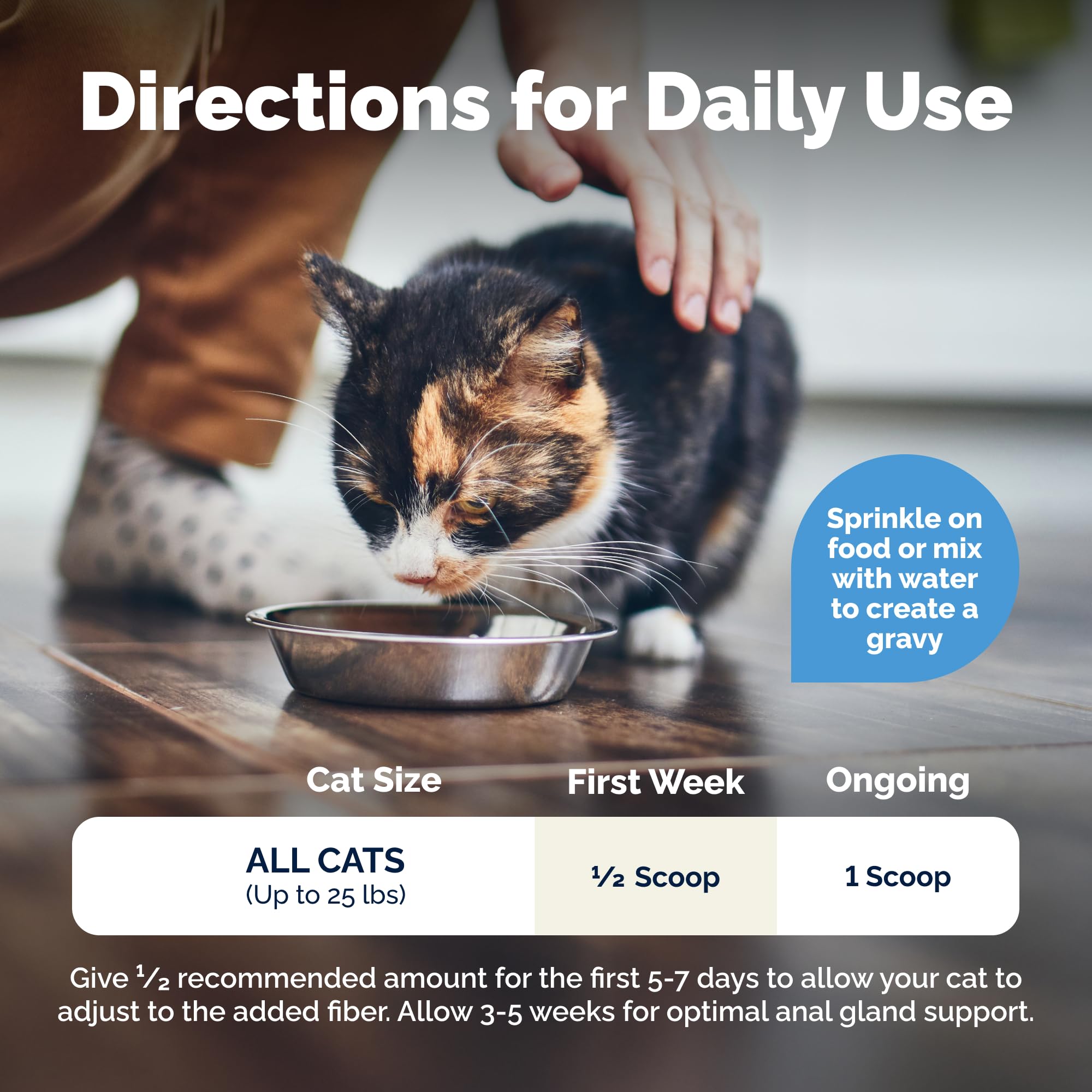 Tuna-flavored powder on cat food demonstrates palatability and routine administration.