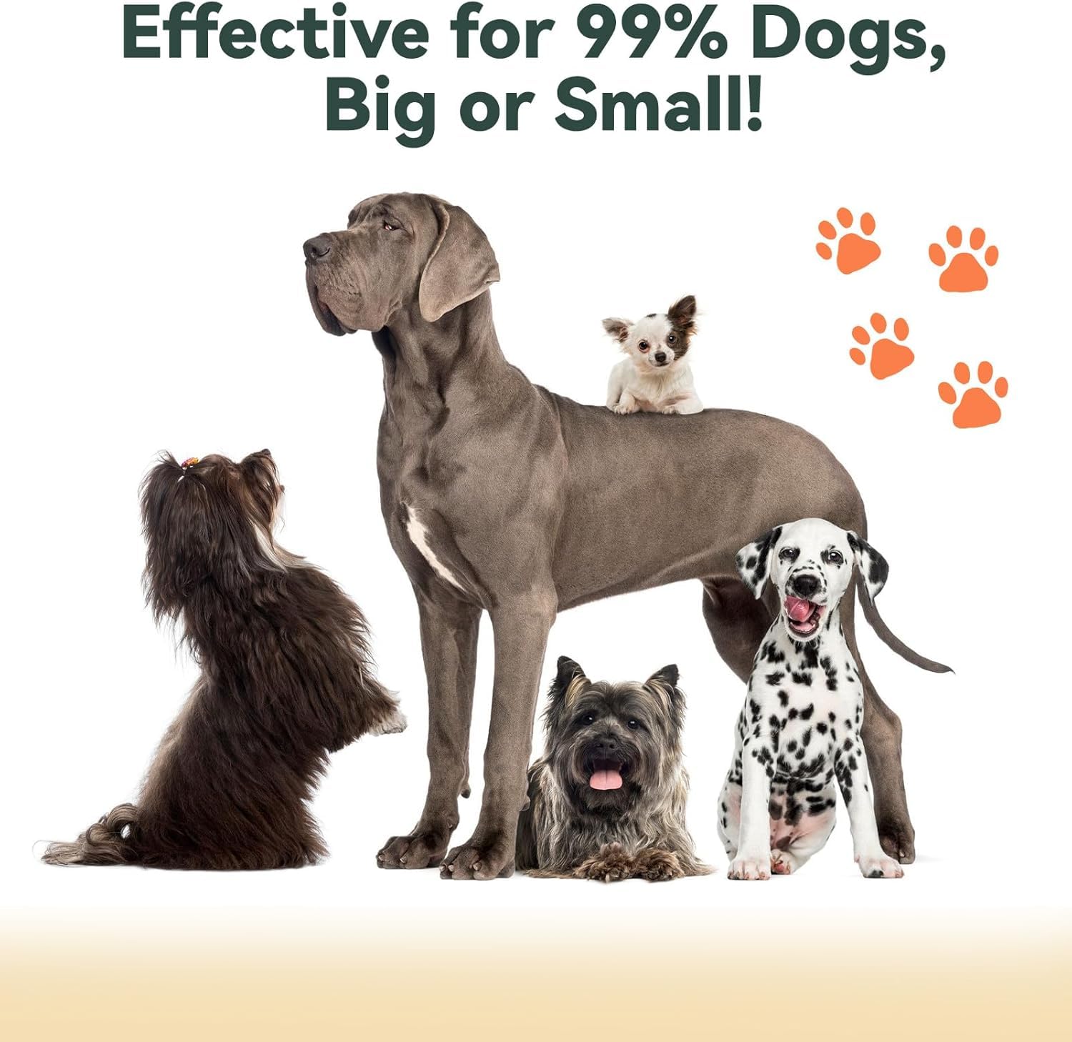 tuncate adjustable three-level setting tailors bark control to dogs.