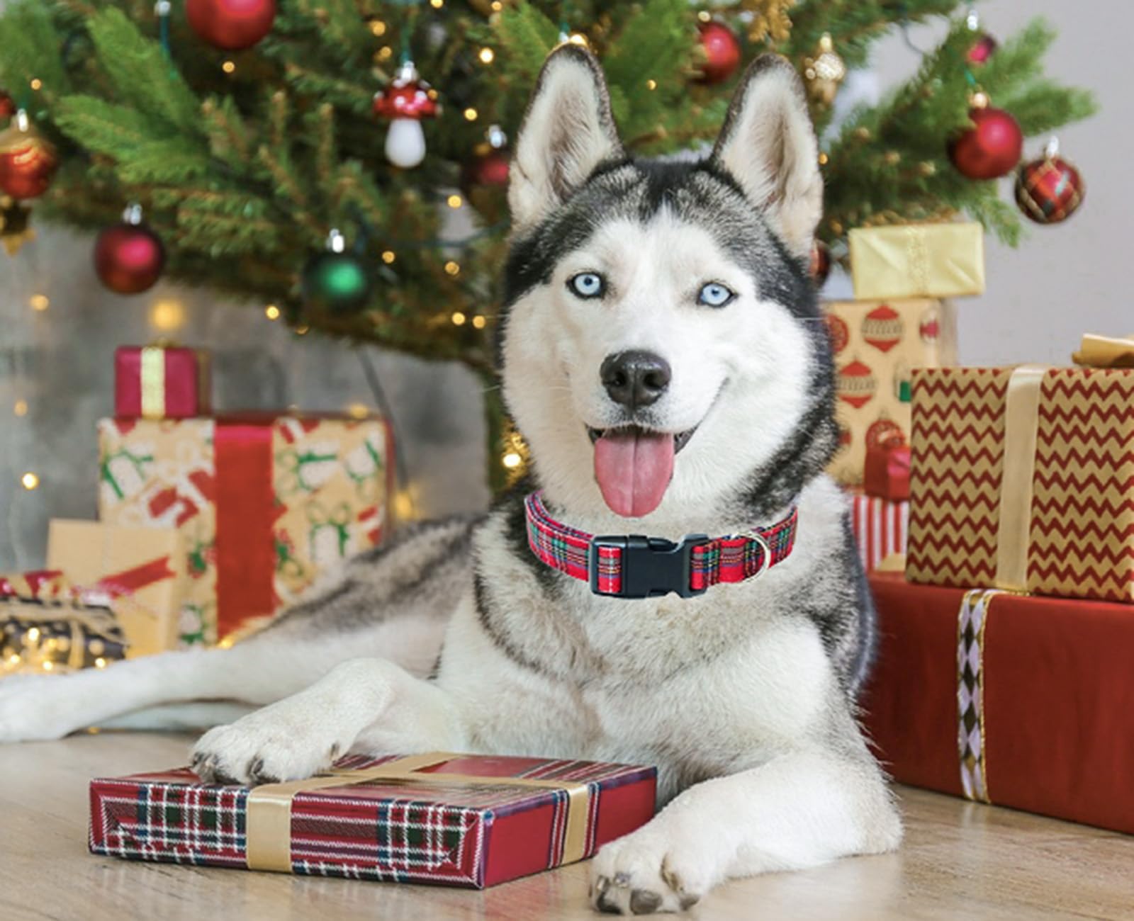 Tunkoo Christmas Classic Plaid Collar gift-packaging ready for gifting.