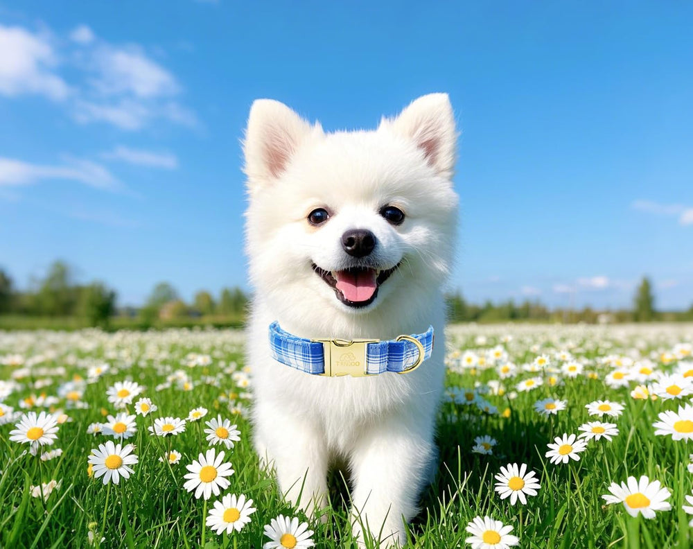 Tunkoo cotton collar fabric closeup highlights soft, skin-friendly texture.