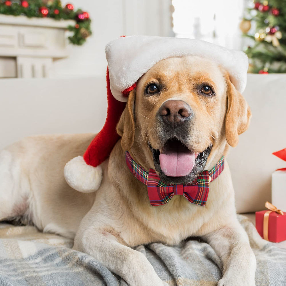 Tunkoo collar bow-tie detail with Velcro attachment for easy removal