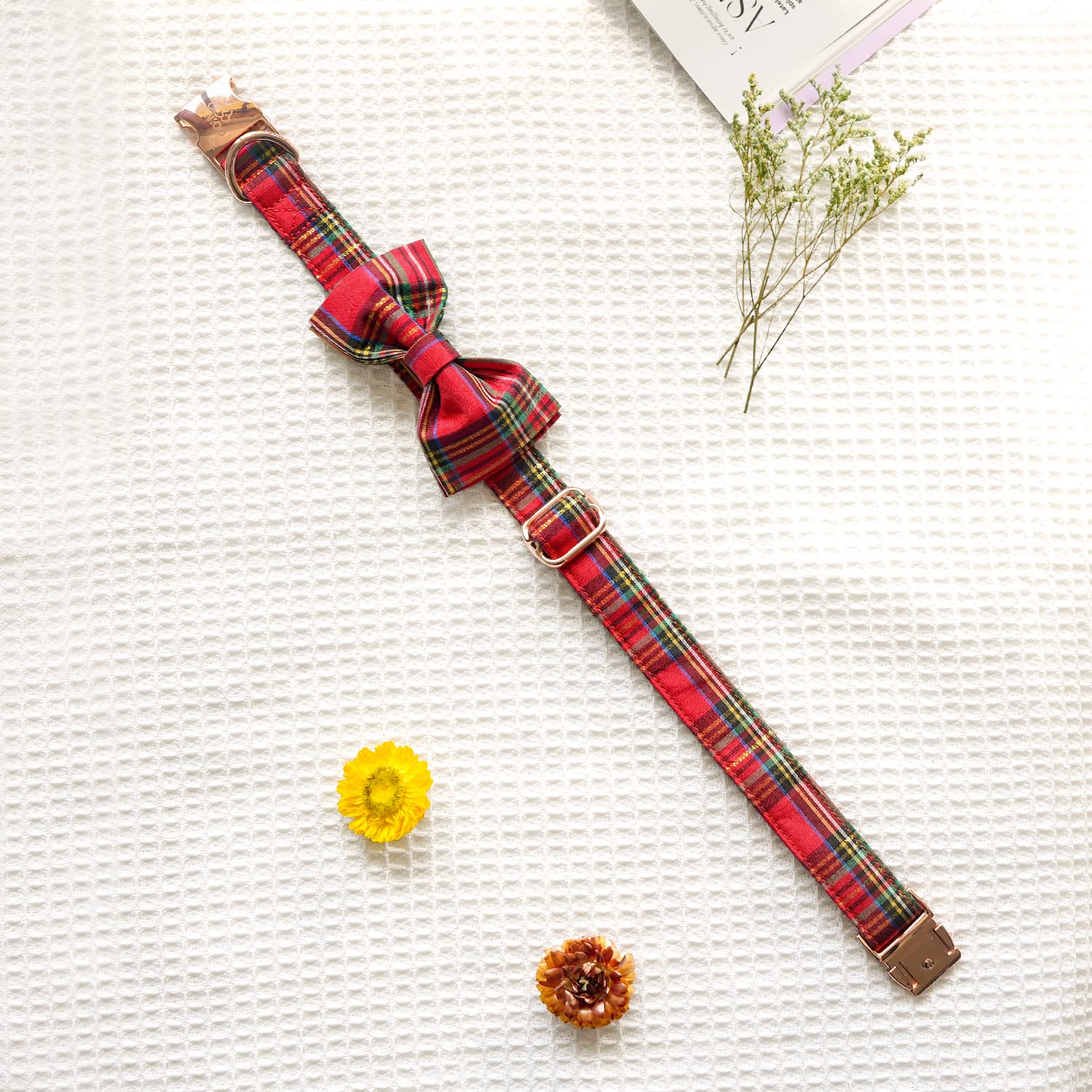 Tunkoo collar highlights durable metal buckle and welded D-ring for secure use