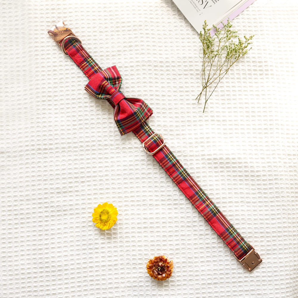 Tunkoo collar highlights durable metal buckle and welded D-ring for secure use