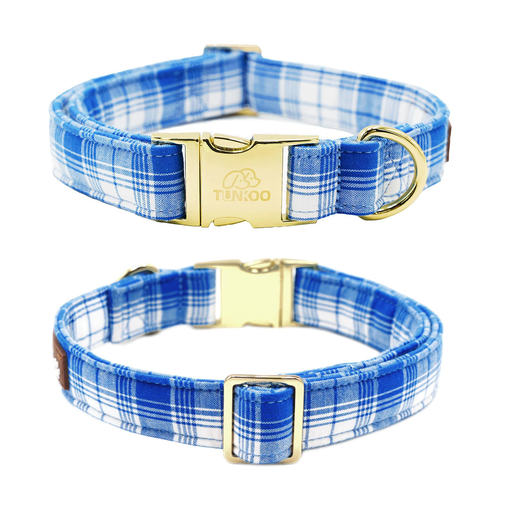 Tunkoo dog collar gold buckle closeup shows secure, stylish hardware.
