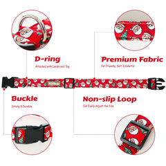 Tunkoo quick-release-buckle provides secure, easy-on fastening during walks