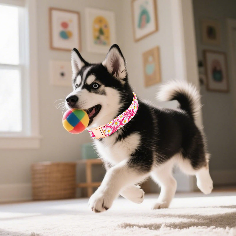 Tunkoo dog collar rose gold buckle on pastel pink fabric enhances spring style.