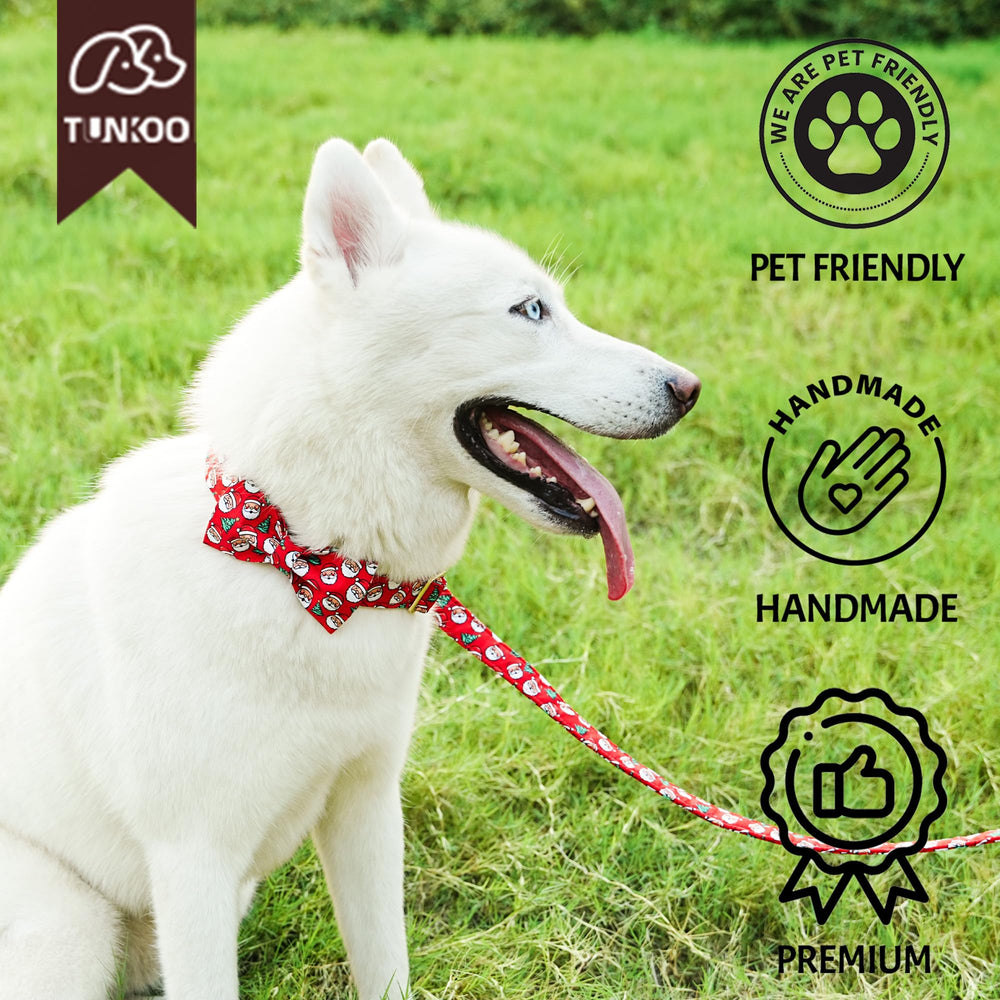 Tunkoo dog collar sizes small to large for Yorkie to Labrador fits comfortably