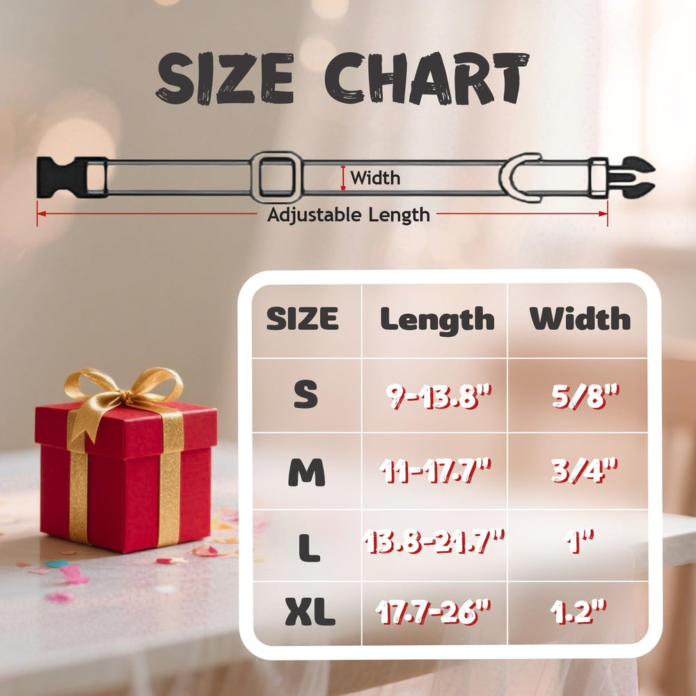 Tunkoo gift-ready packaging highlights a stylish pet accessory gift.