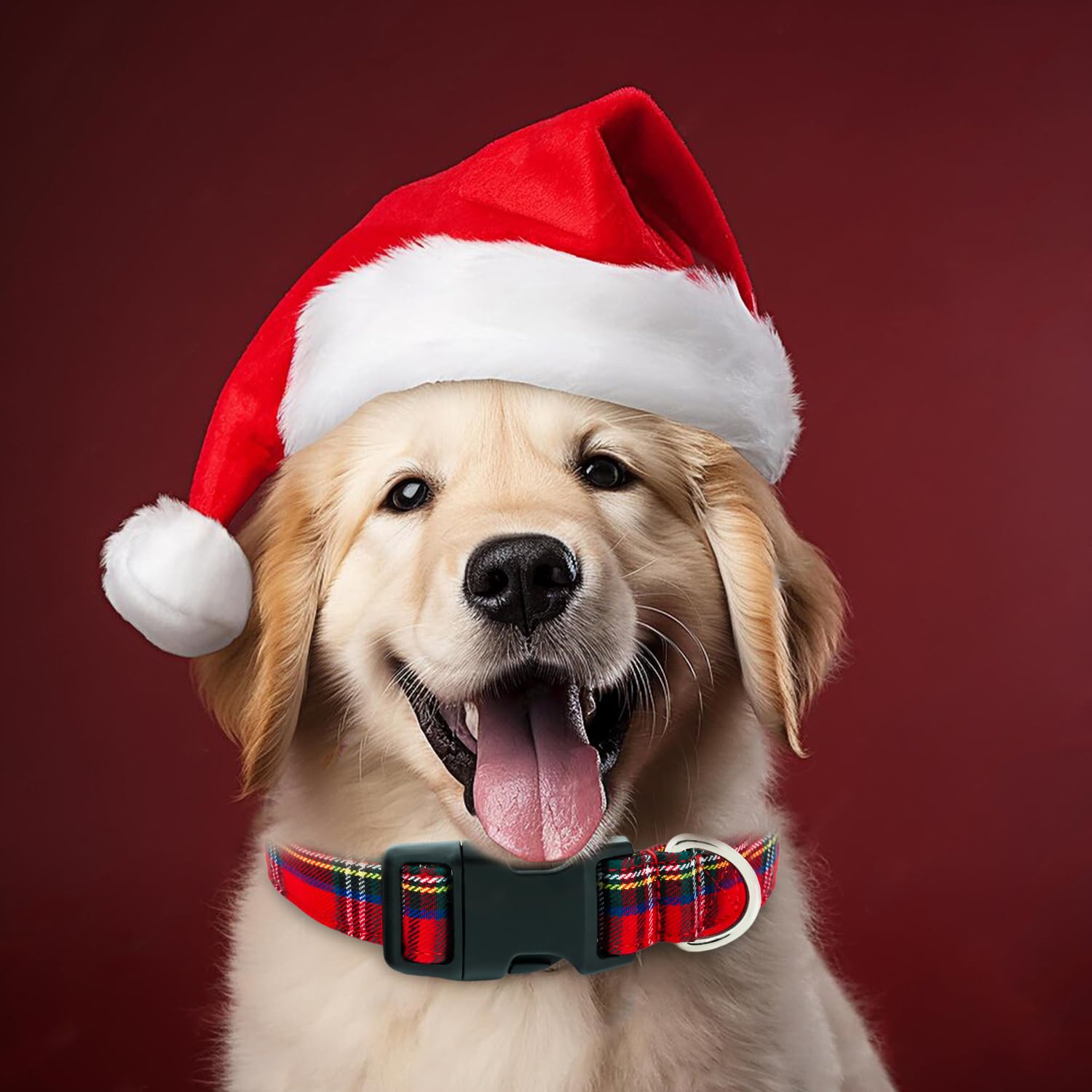 Tunkoo medium size adjustable collar on a medium dog illustrates balanced width.