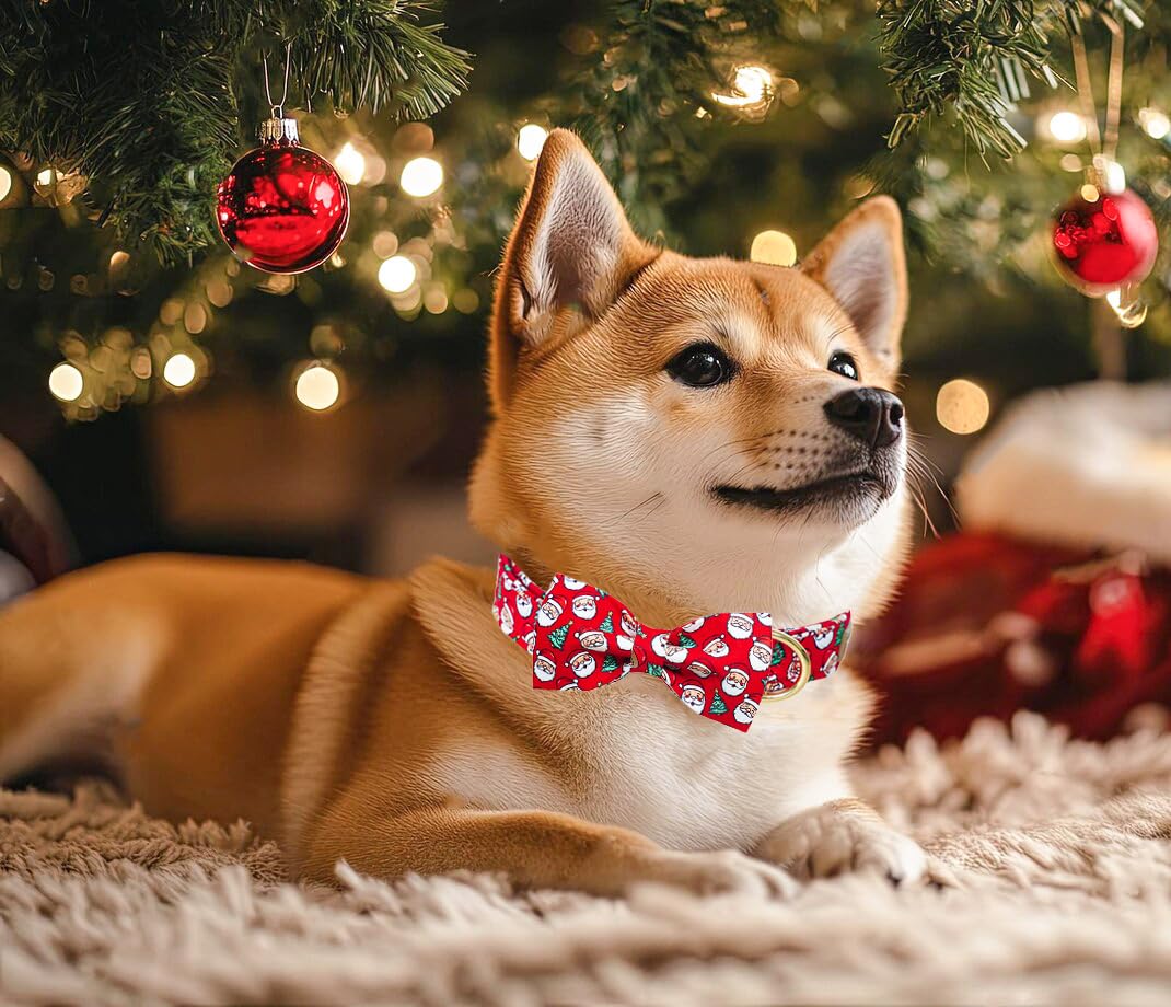 Tunkoo collar with soft cotton outer layer for everyday comfort