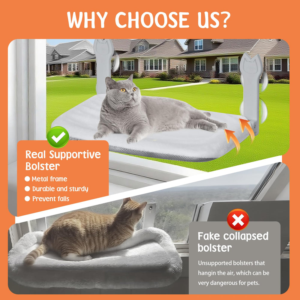 Turbosus cat enjoying the window view from the perch.