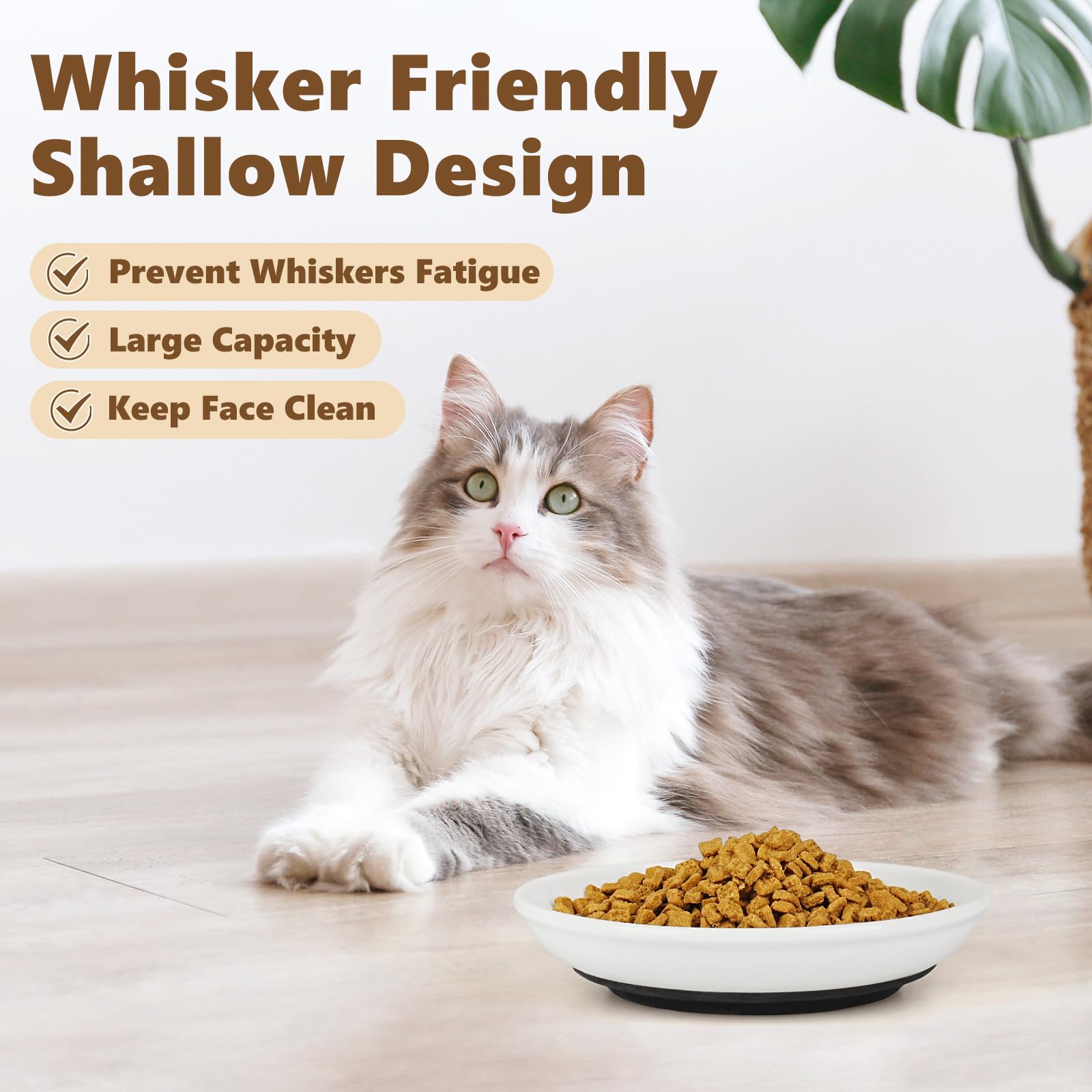 Turfson bowls whisker-friendly design highlights comfy meals for wet food and kitten snacks.