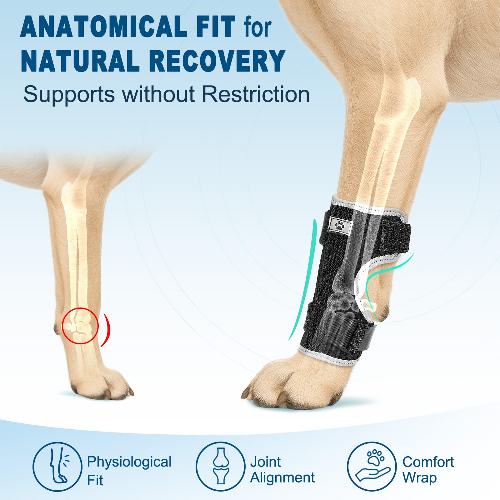Turfson dog front leg brace three sizes ensure proper fit