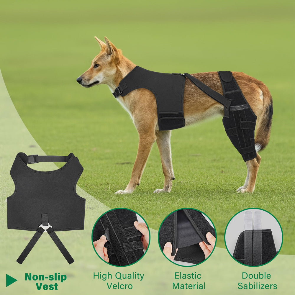 Turfson dog knee brace back view shows balanced hip support with vest harness
