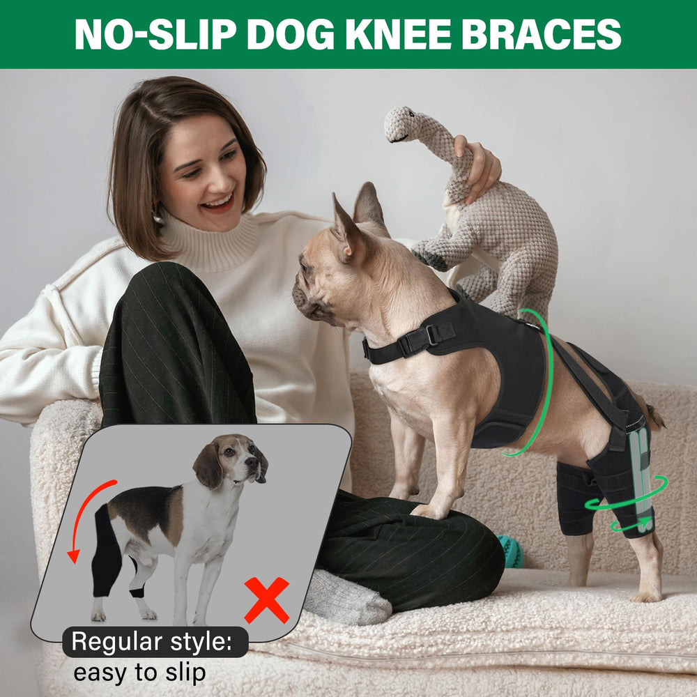 Turfson knee brace worn on dog during recovery for support and mobility