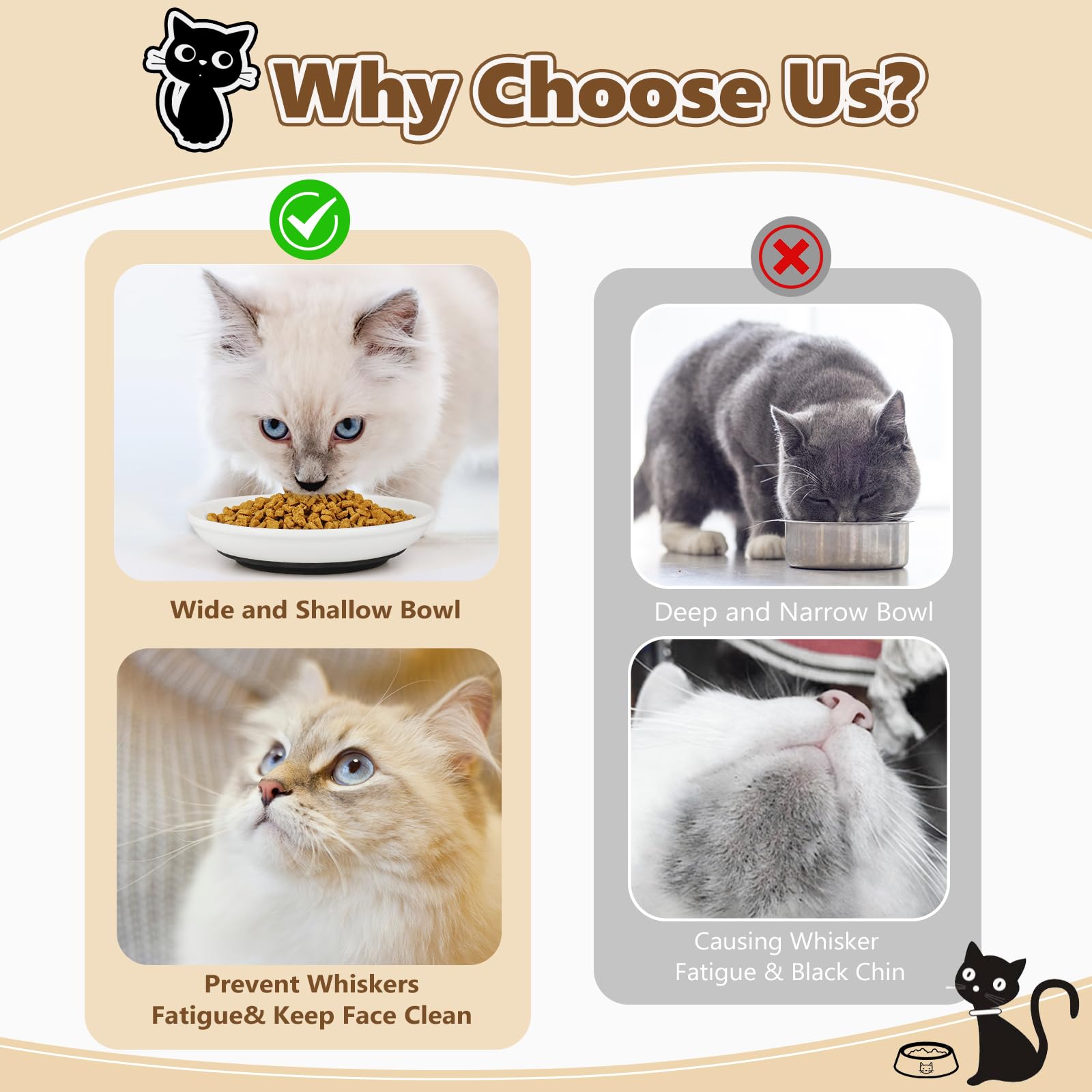 Turfson indoor-kitten mealtime essentials image shows safe, versatile feeding options.