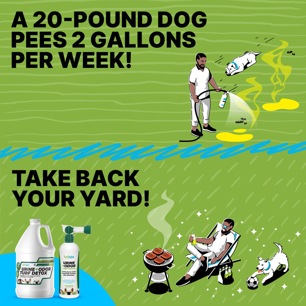 TurfSpa Turf Detox dog-run kennels demonstrates pet-safe cleaning in high-traffic areas