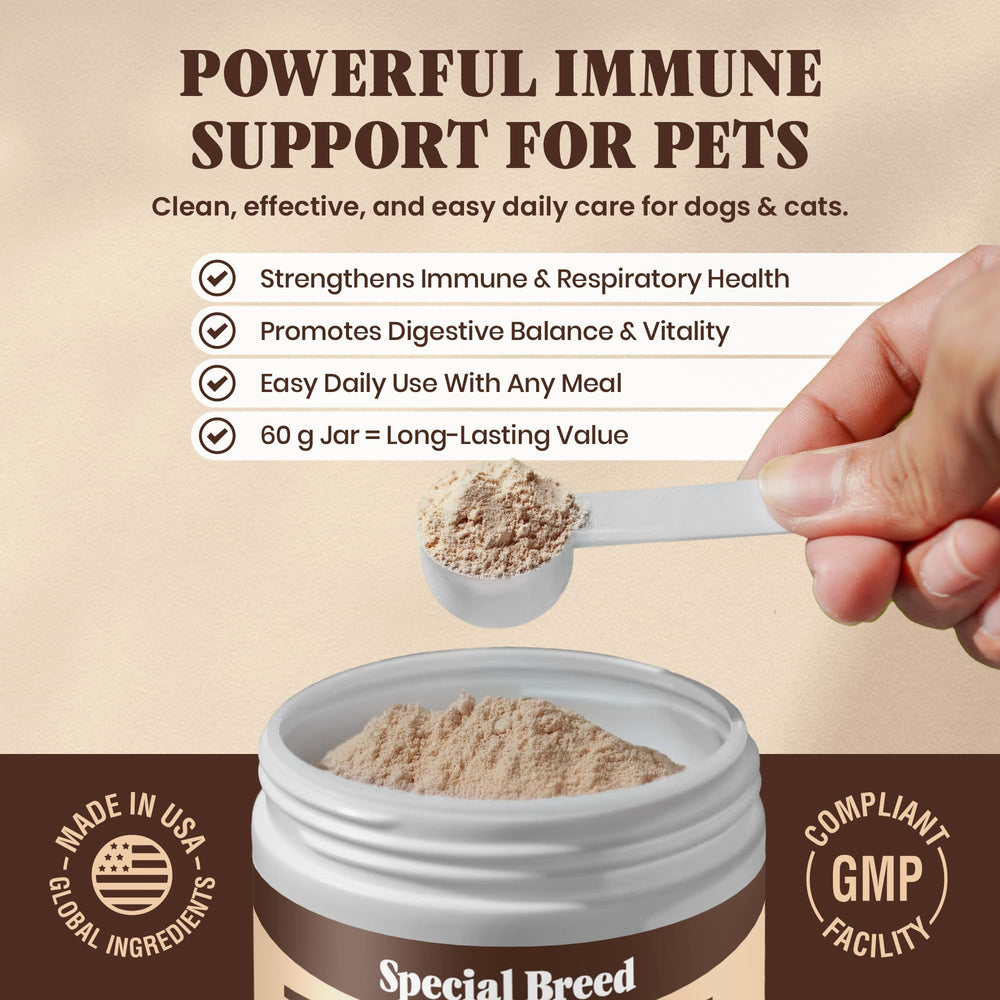 Special Breed turkey tail powder whisked into pet food during mealtime.