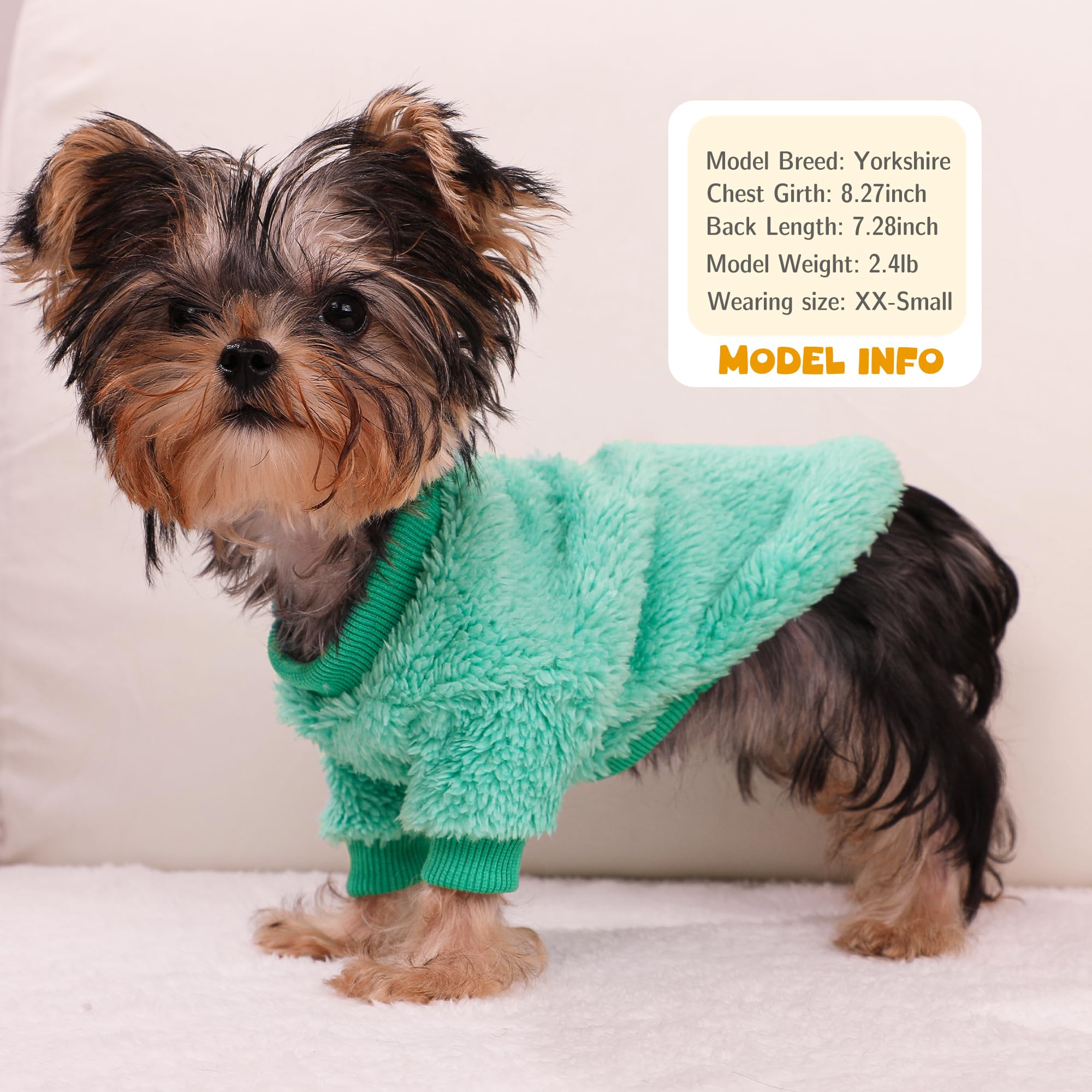 Teacup dog sweater back view showcasing comfortable pullover fit and cuffs
