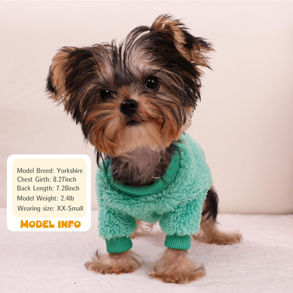 Teacup dog sweater turquoise worn on a small dog for warmth and comfort