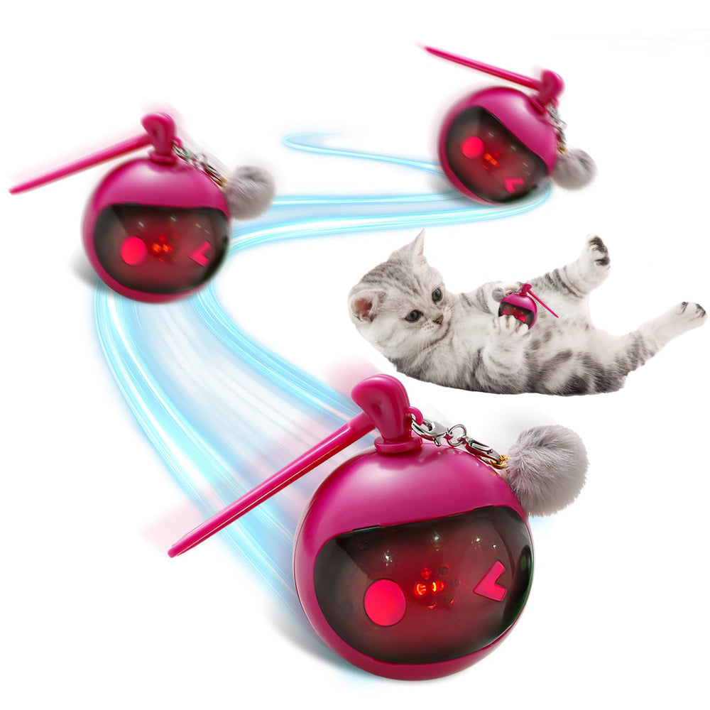 TVM interactive cat toy rose-red ball front view for indoor chase stimulation
