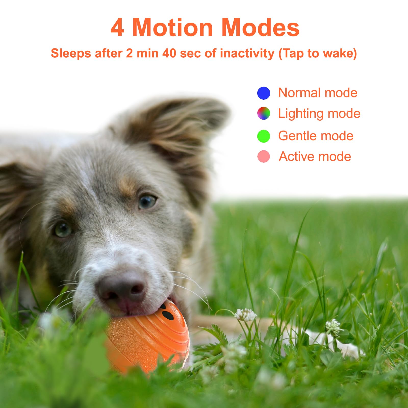 TVM Interactive Dog Ball bouncing motion supports high-energy dogs during play