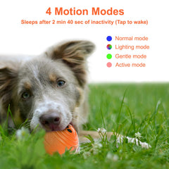 TVM Interactive Dog Ball bouncing motion supports high-energy dogs during play