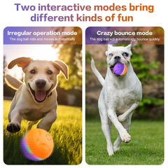 TVM Interactive Dog Ball charging and power view highlighting USB recharge compatibility.