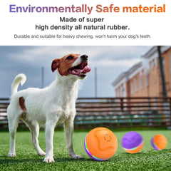 TVM Interactive Dog Ball LED illumination for nighttime visual appeal.