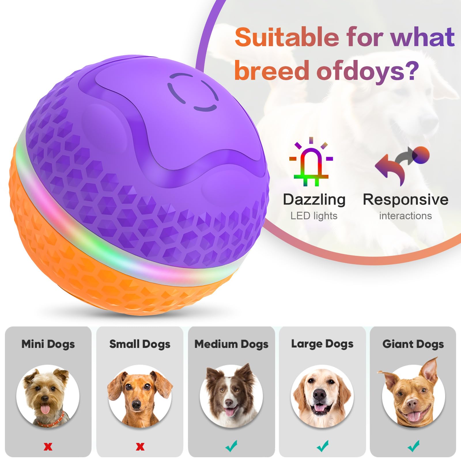 TVM Interactive Dog Ball on wood floor demonstrates versatile hard-surface use.