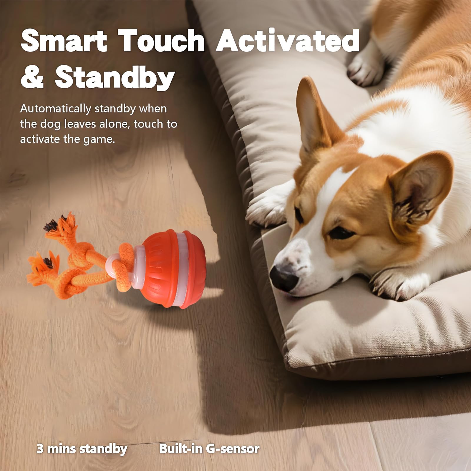 TVM Interactive Dog Ball in purple slow mode for calmer sessions