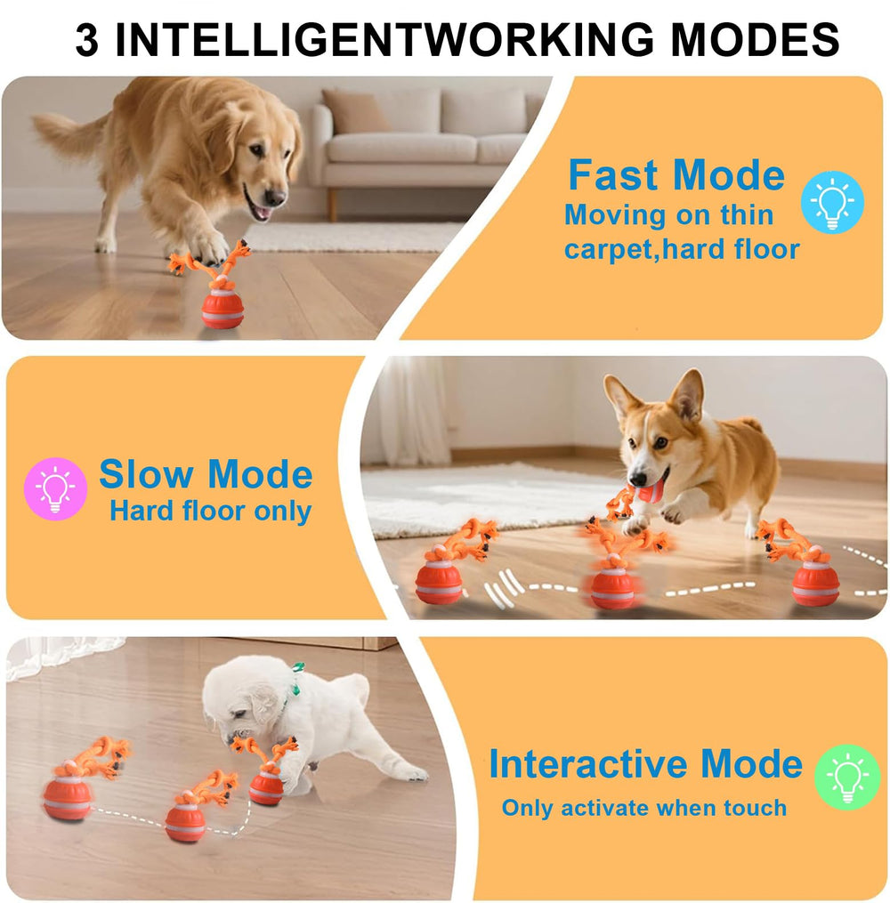 TVM Interactive Dog Ball rope-tease action boosts interactive play during tug sessions