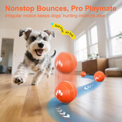 TVM Interactive Dog Ball rotating action highlights autonomous movement for indoor fetch