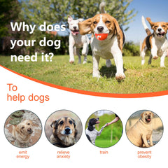 TVM Interactive Dog Ball side view orange demonstrates durable, bite-safe fun for curious pups