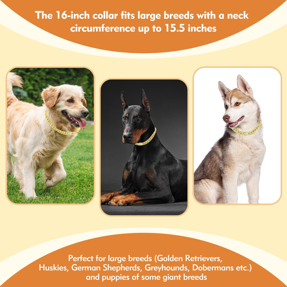 TVTOO gold-cuban-link-dog-collar-park-photos captures chic look in park settings.