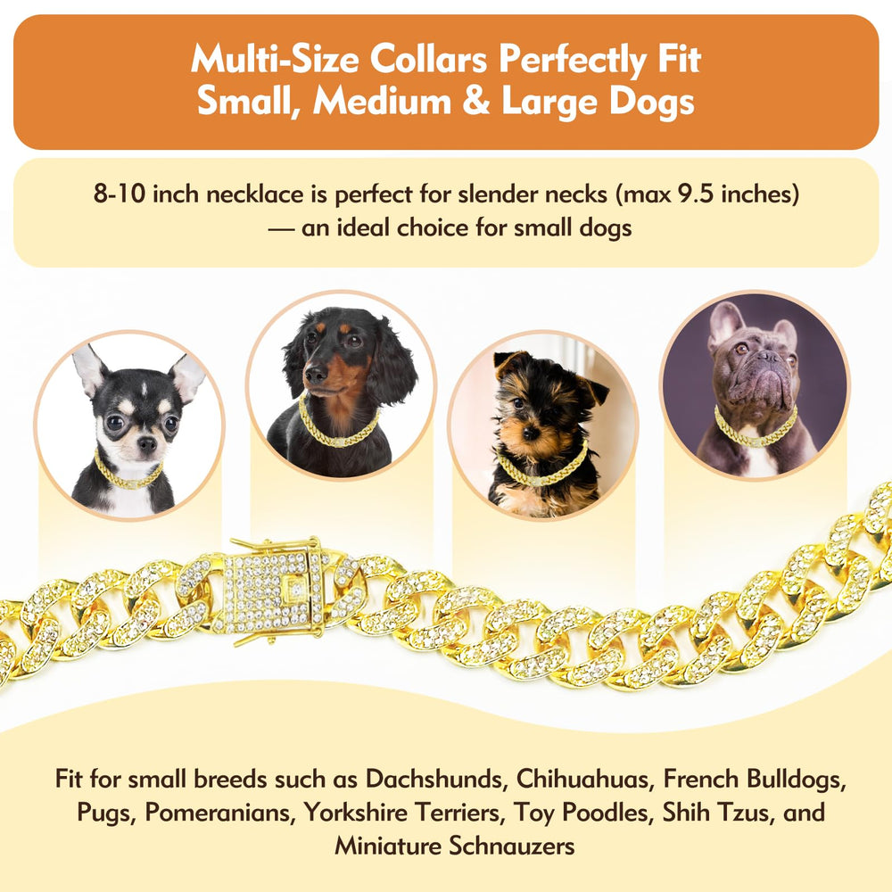 TVTOO gold-large-dog-collar-walk-action shows stylish look during outdoor walks.